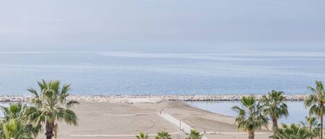 A beach with a volleyball court, palm trees, and a rocky breakwater.