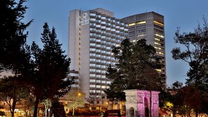 Un hotel alto con un llamativo letrero de "Hilton", rodeado de árboles y una zona de parque bien iluminada.