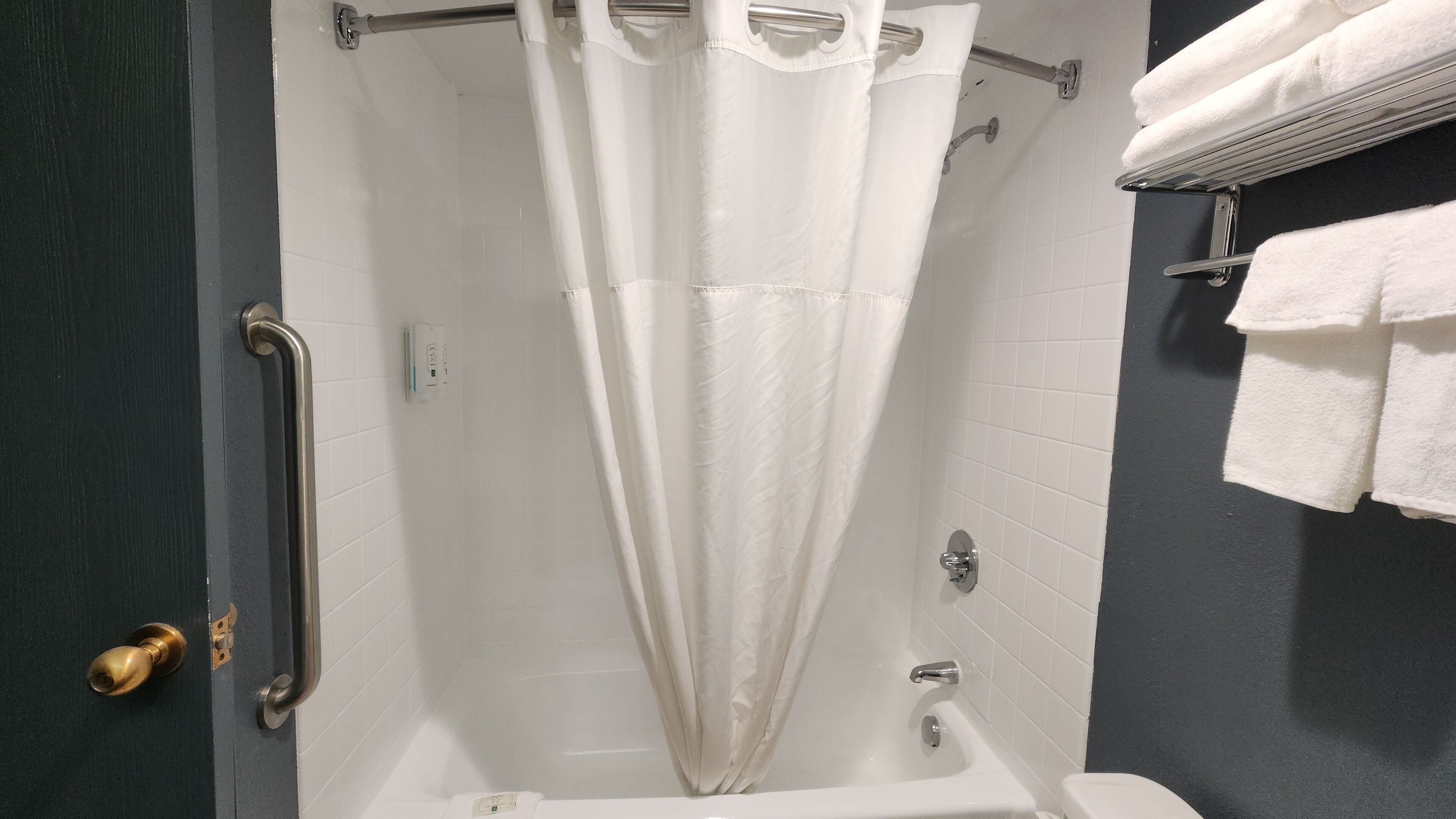Baño con ducha, bañera, baranda, toallero y puerta con manija de bronce.