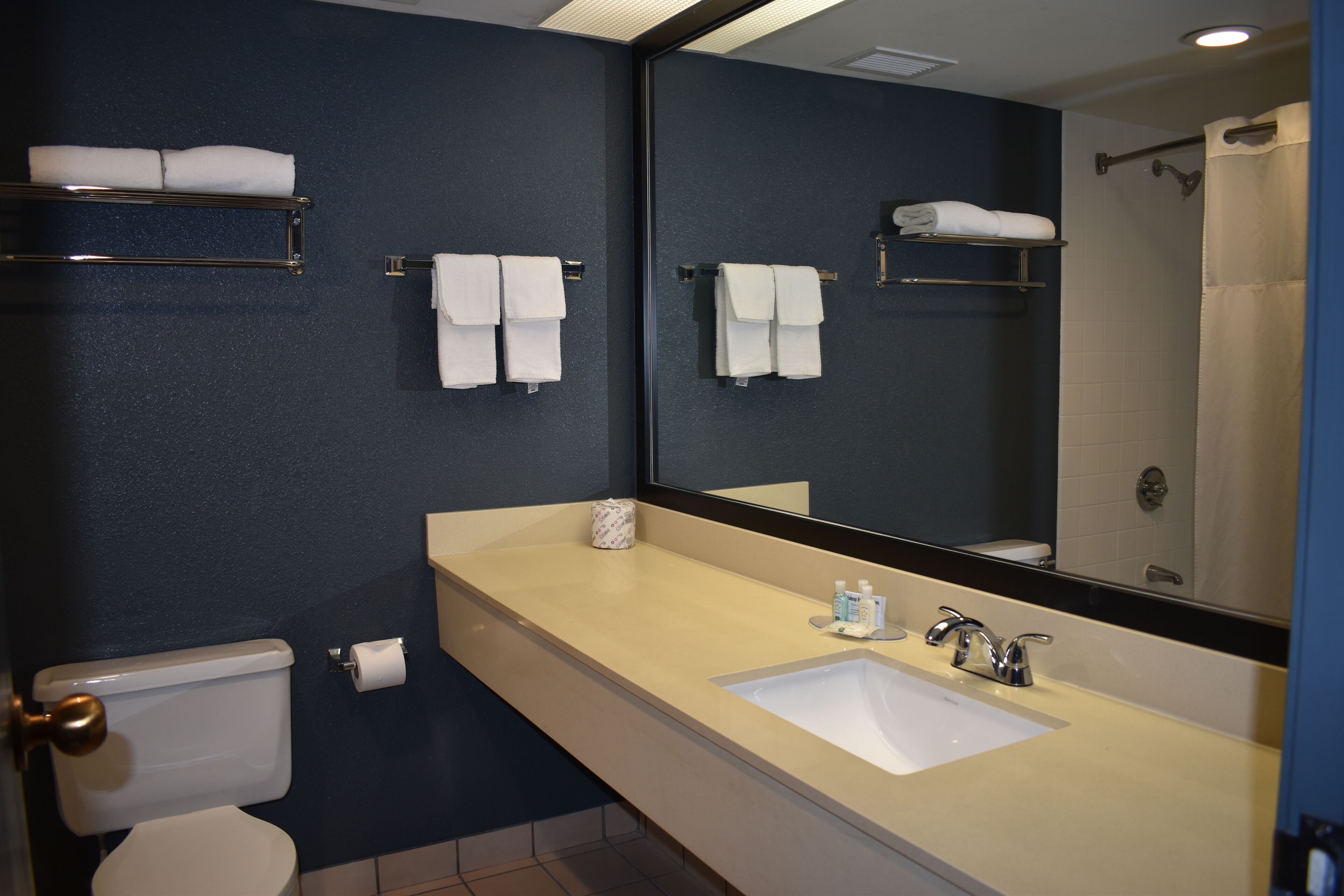 A modern bathroom with a large mirror, a sink, and two towel racks.