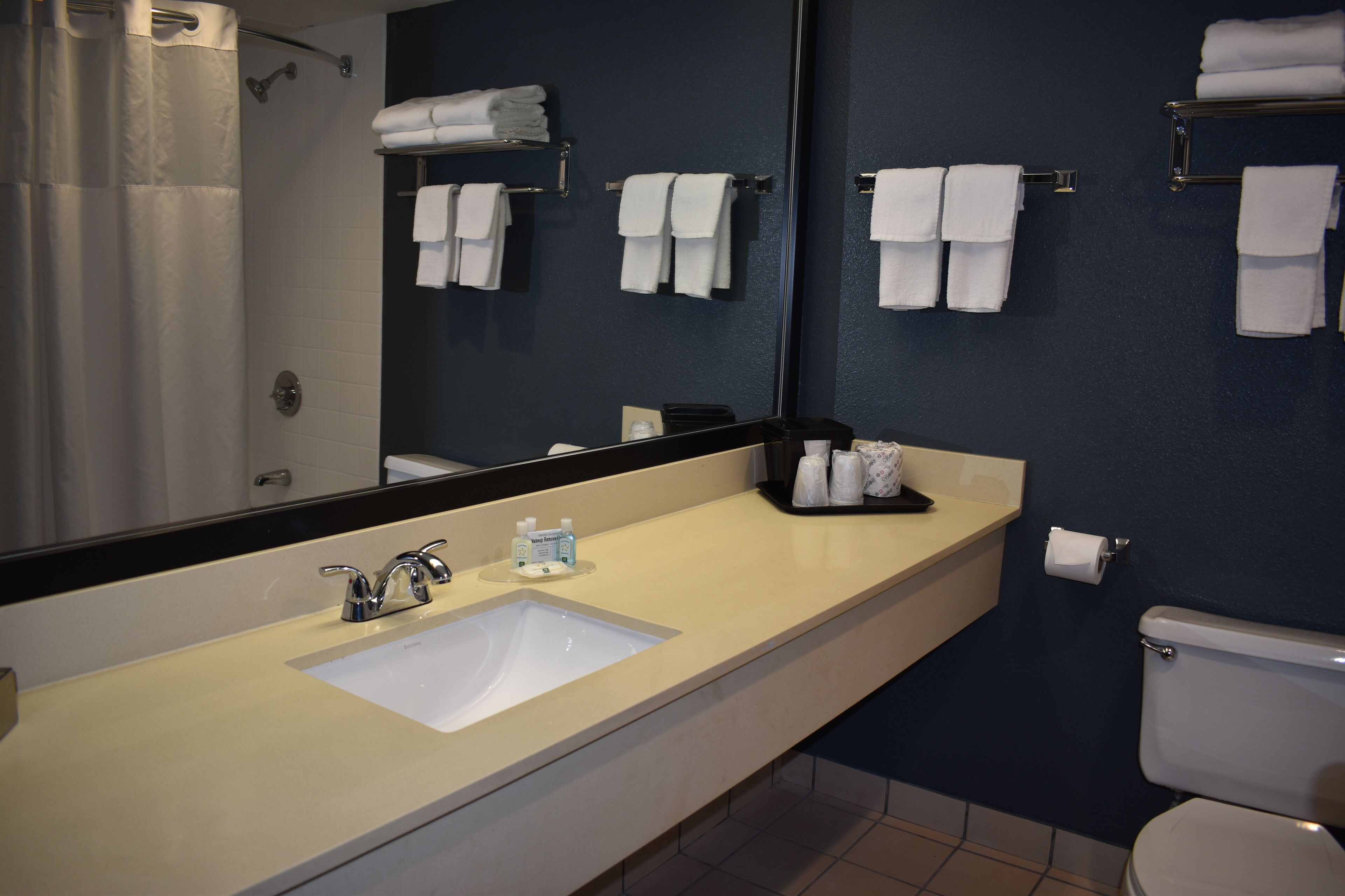 Suite, Multiple Beds, Non Smoking | Bathroom | Combined shower/bathtub, free toiletries, hair dryer, towels