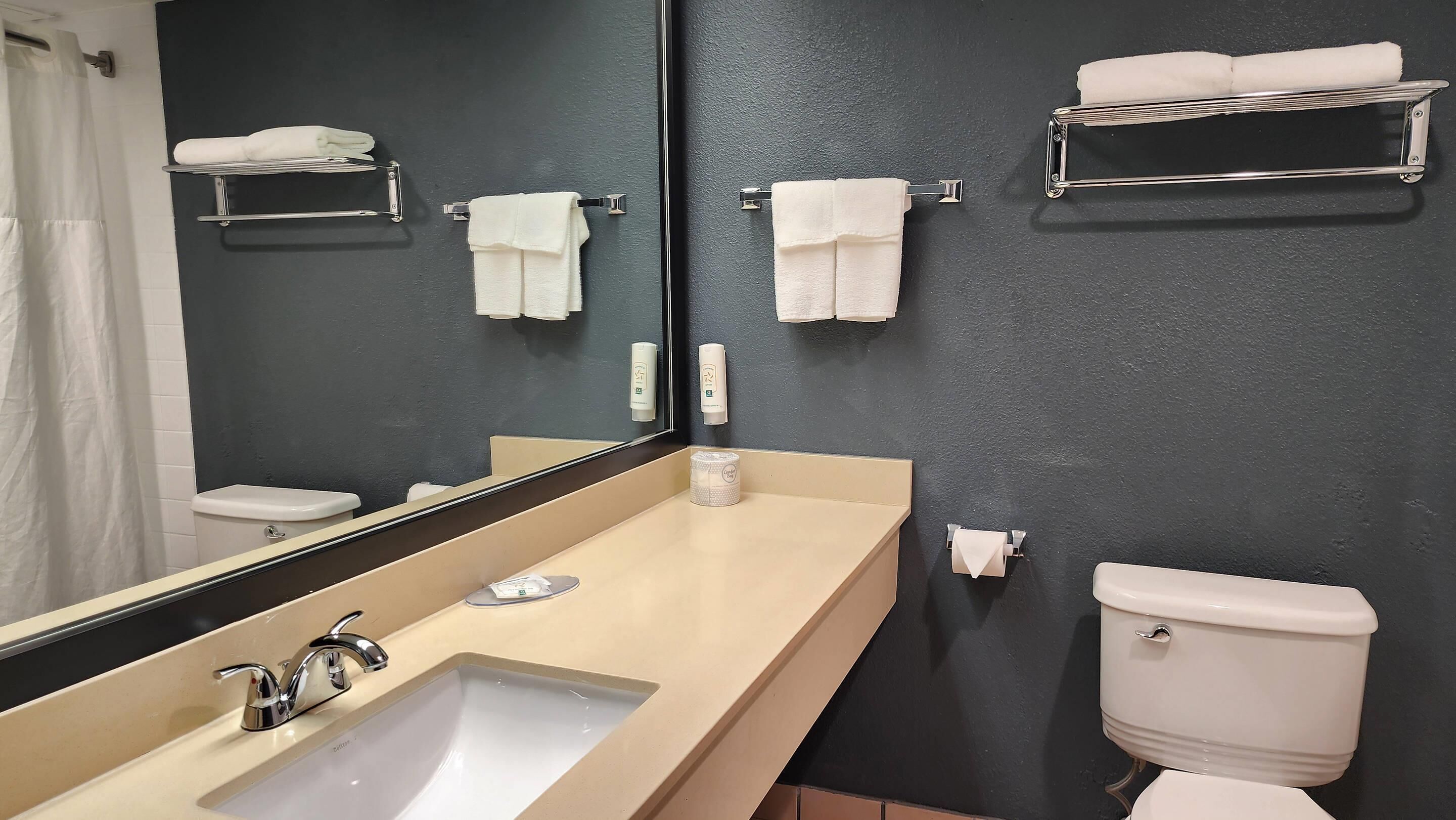 Un baño con un lavabo color beige, un espejo, un inodoro y barras para toallas.