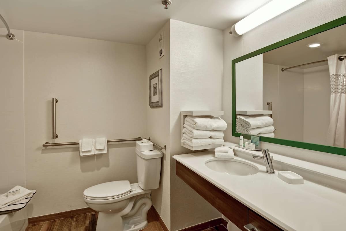 Un baño moderno con inodoro, lavabo y ducha.