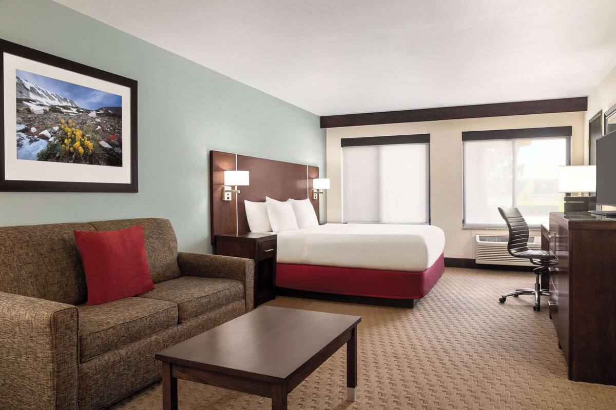 A hotel room with a bed, a sofa, a desk, and a chair.