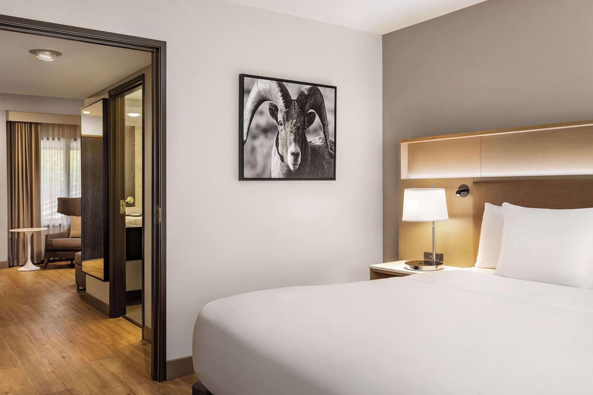 A hotel room with a large bed, a nightstand with a lamp, a framed picture on the wall, and a view of the hallway.