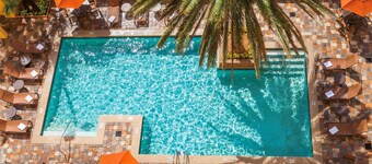 Embassy Suites by Hilton Orlando International Dr Conv Ctr