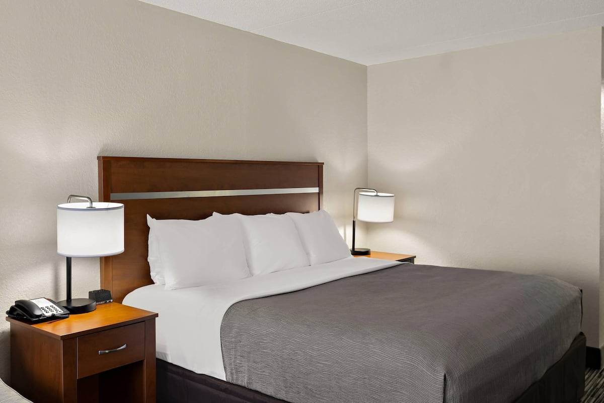 Habitación estándar, 1 cama King size, para no fumadores | Escritorio, espacio para trabajar con laptop y cortinas blackout