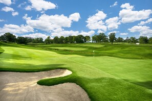 Land view from property - Thousand Hills Golf Resort (Branson)