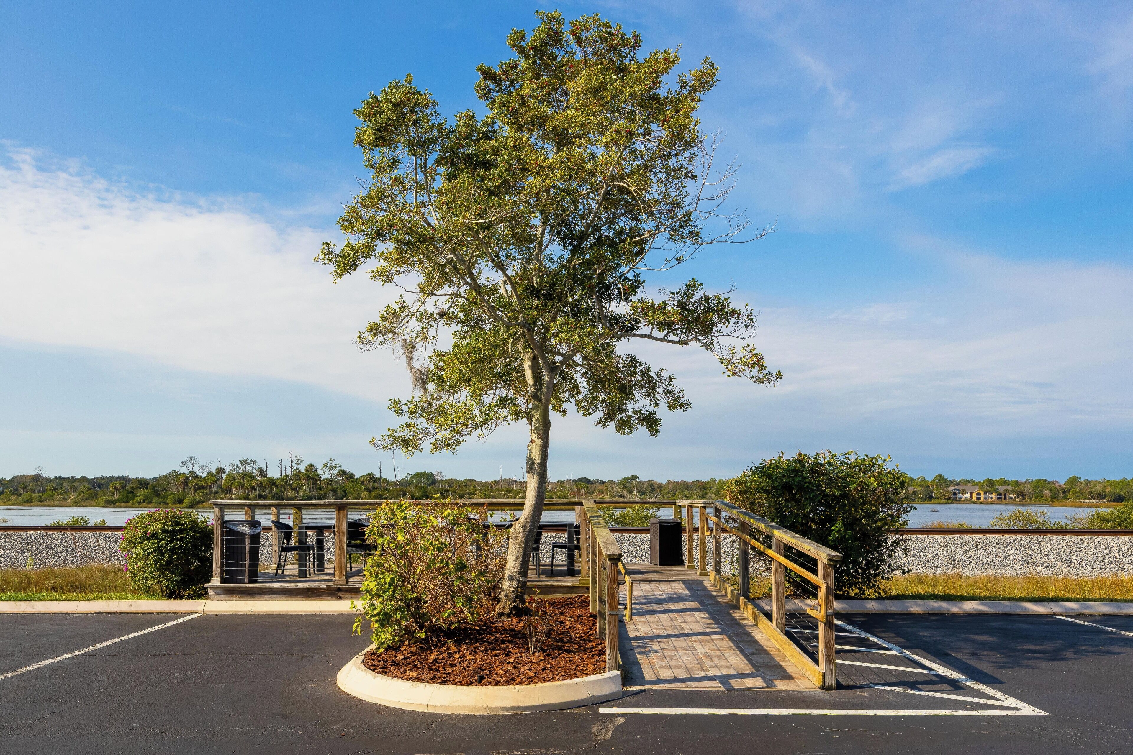 A parking area with a covered seating area, a tree, and a view of a body of water.