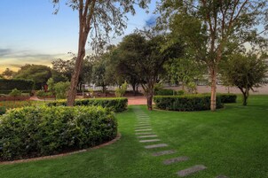 Business Single Room | Garden view