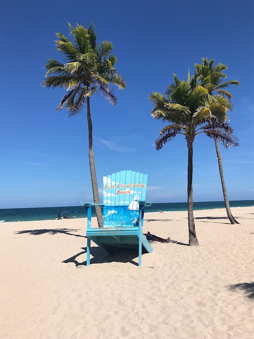 TOP 10 BEST Roller Coaster in Fort Lauderdale, FL - December 2023 - Yelp