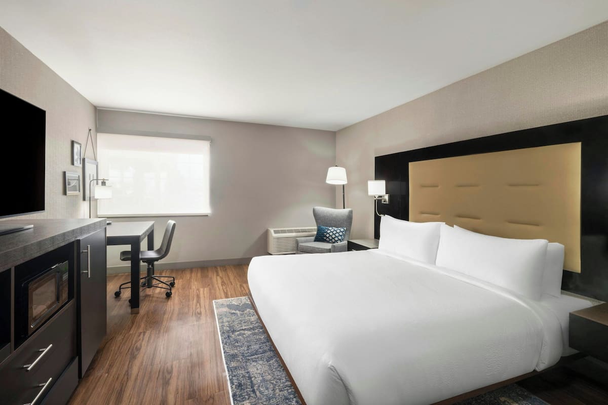 Suite, 1 King Bed with Sofa bed