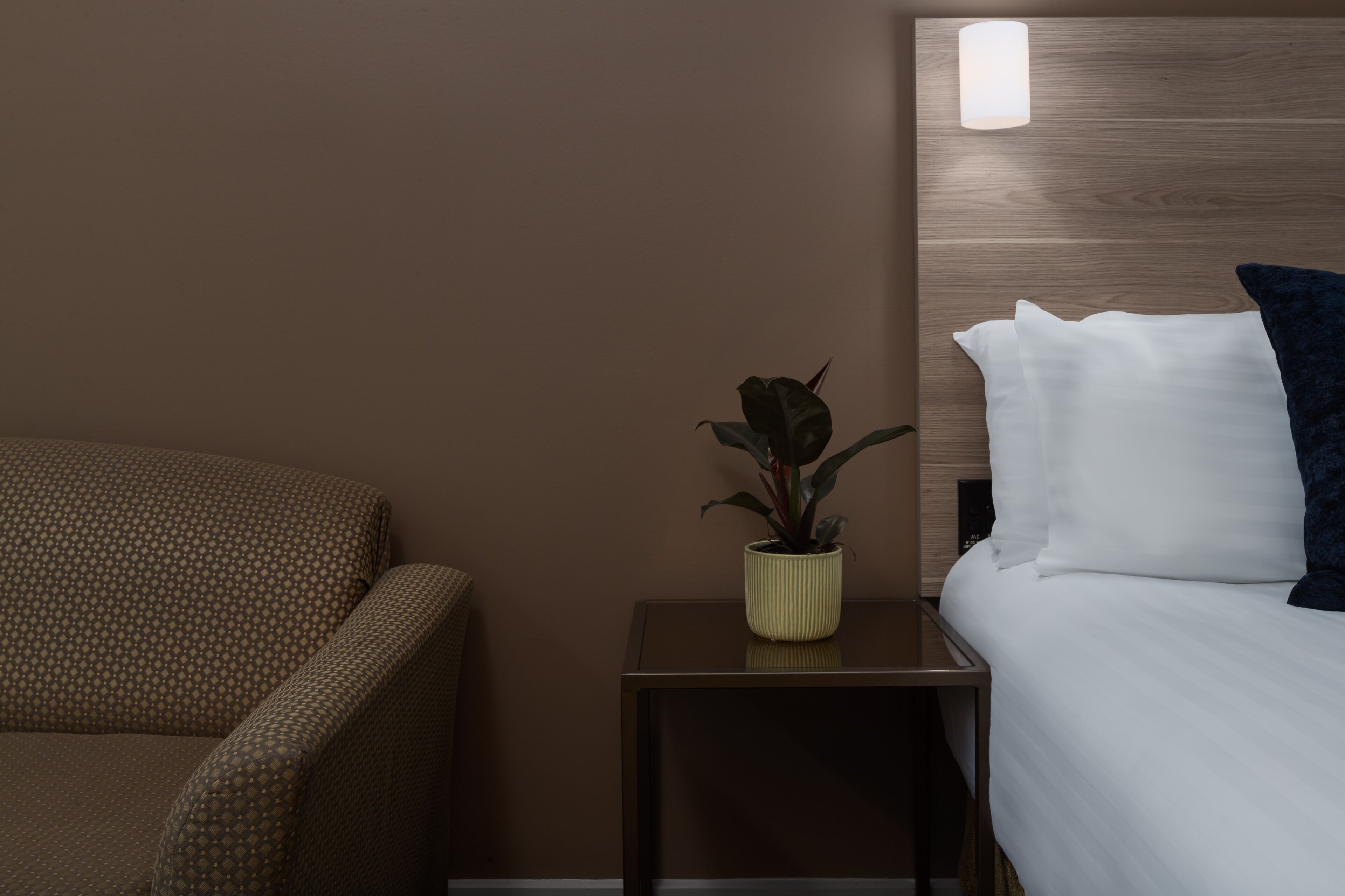 Hotellihuone, jossa on sänky, yöpöytä, ruukkukasvi ja tuoli.