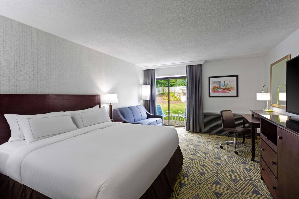 A hotel room with a large bed, a desk with a chair, a television, and a view of the outdoors.