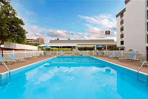 Outdoor pool, pool umbrellas, pool loungers