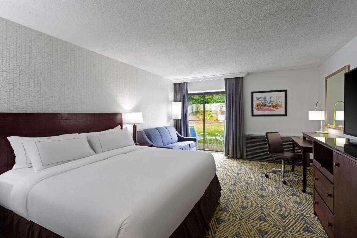 A hotel room with a large bed, a desk, a chair, and a television.