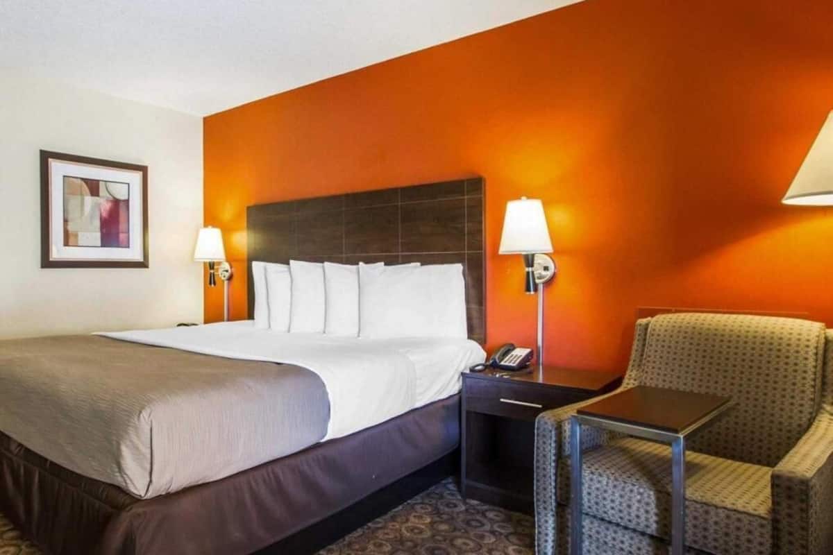 Iron/ironing board, free cots/infant beds, free WiFi, bed sheets