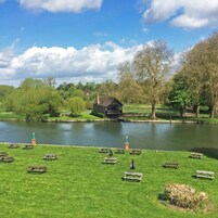 Riverview Suite | Vistas desde la habitación