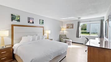 Skrivbord, strykjÀrn/strykbrÀda, gratis barnsÀngar och gratis wi-fi