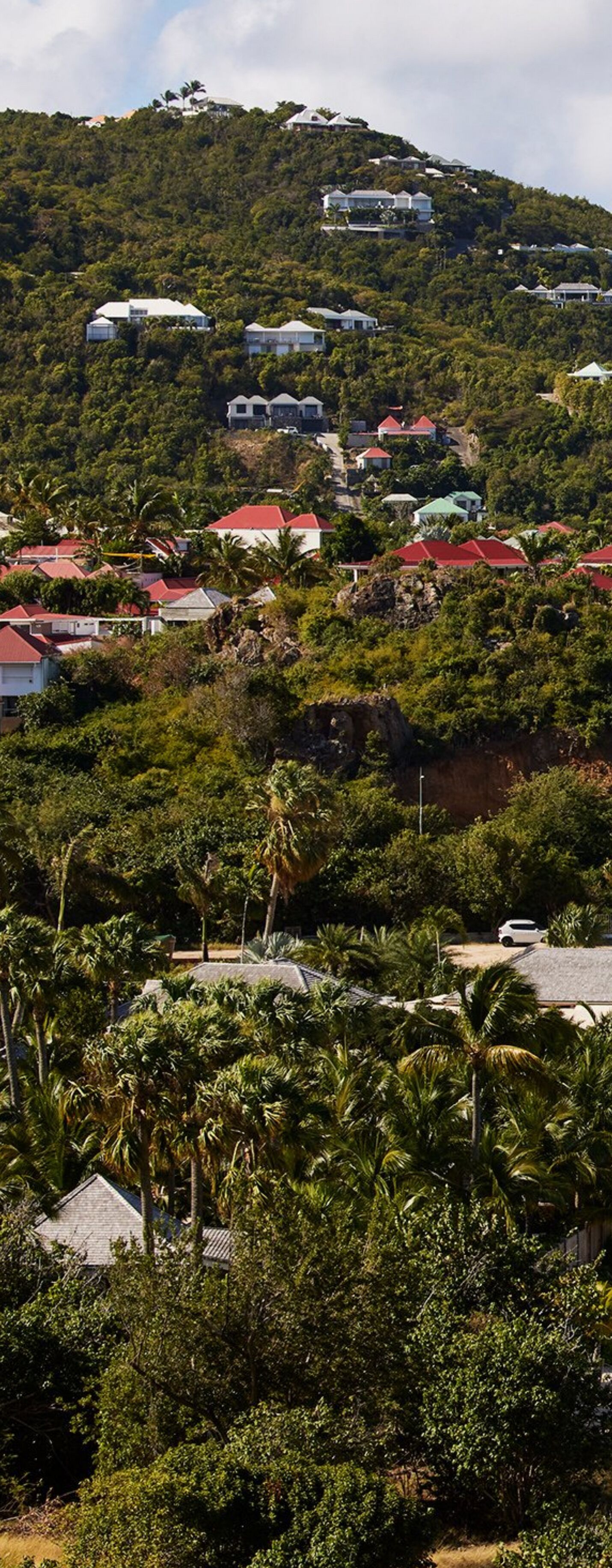 A hillside residential area with houses, some with red roofs, surrounded by dense greenery and palm trees.