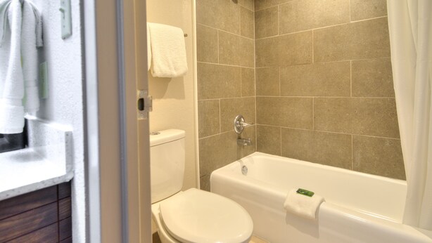 Een badkamer met toilet, bad en douche.