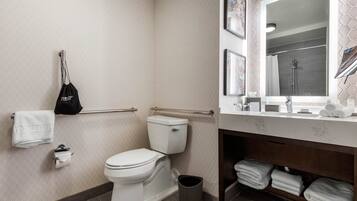Ein modernes Badezimmer mit Toilette, Handlauf, Waschbecken mit Spiegel und Handtuchhalter.