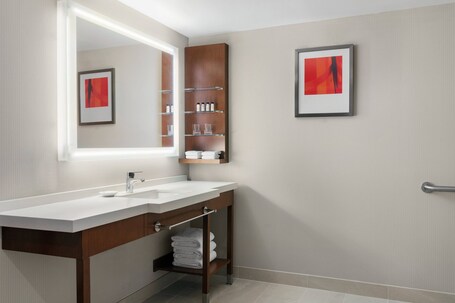 Delta Hotels by Marriott Indianapolis Airport - Image 22