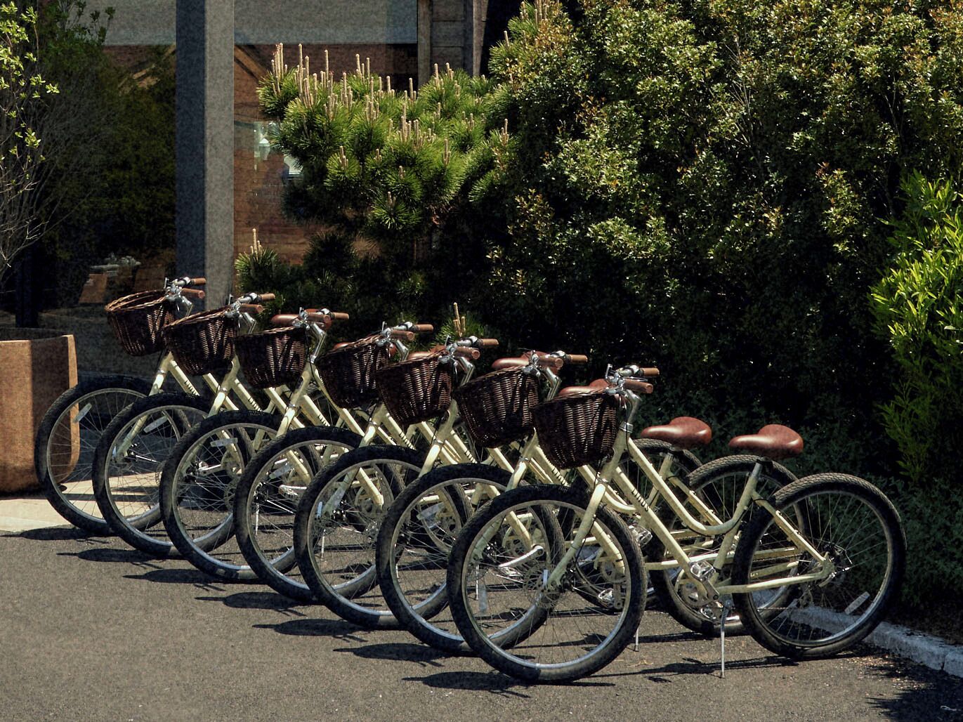 Bicycling