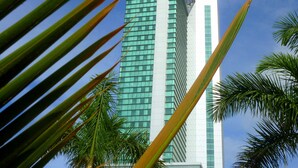 Un grand immeuble moderne à la façade en verre, entouré de palmiers.