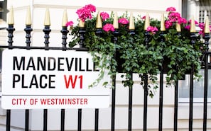 Exterior detail - The Mandeville Hotel (London)