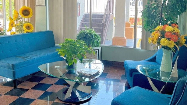 Un salon moderne avec un canapé bleu, une table basse en verre et un fauteuil bleu. On y trouve des plantes en pot et un vase rempli de fleurs sur la table.