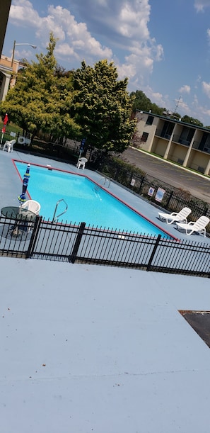 Seasonal outdoor pool, sun loungers