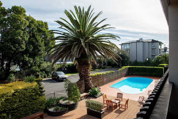 Outdoor pool, sun loungers