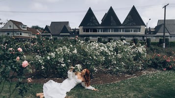 Outdoor wedding area