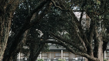 Outdoor wedding area