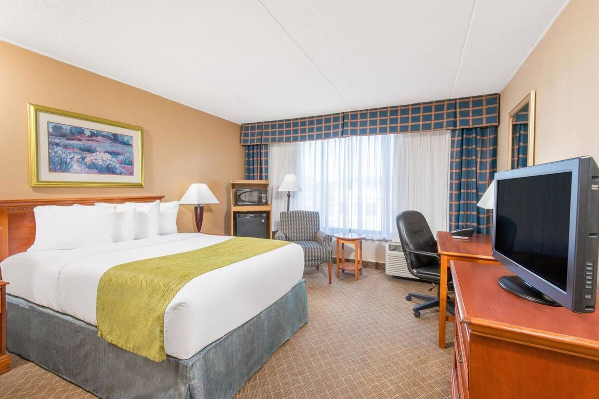 Habitación de hotel con cama, escritorio, televisor, silla, lámpara y un cuadro en la pared.