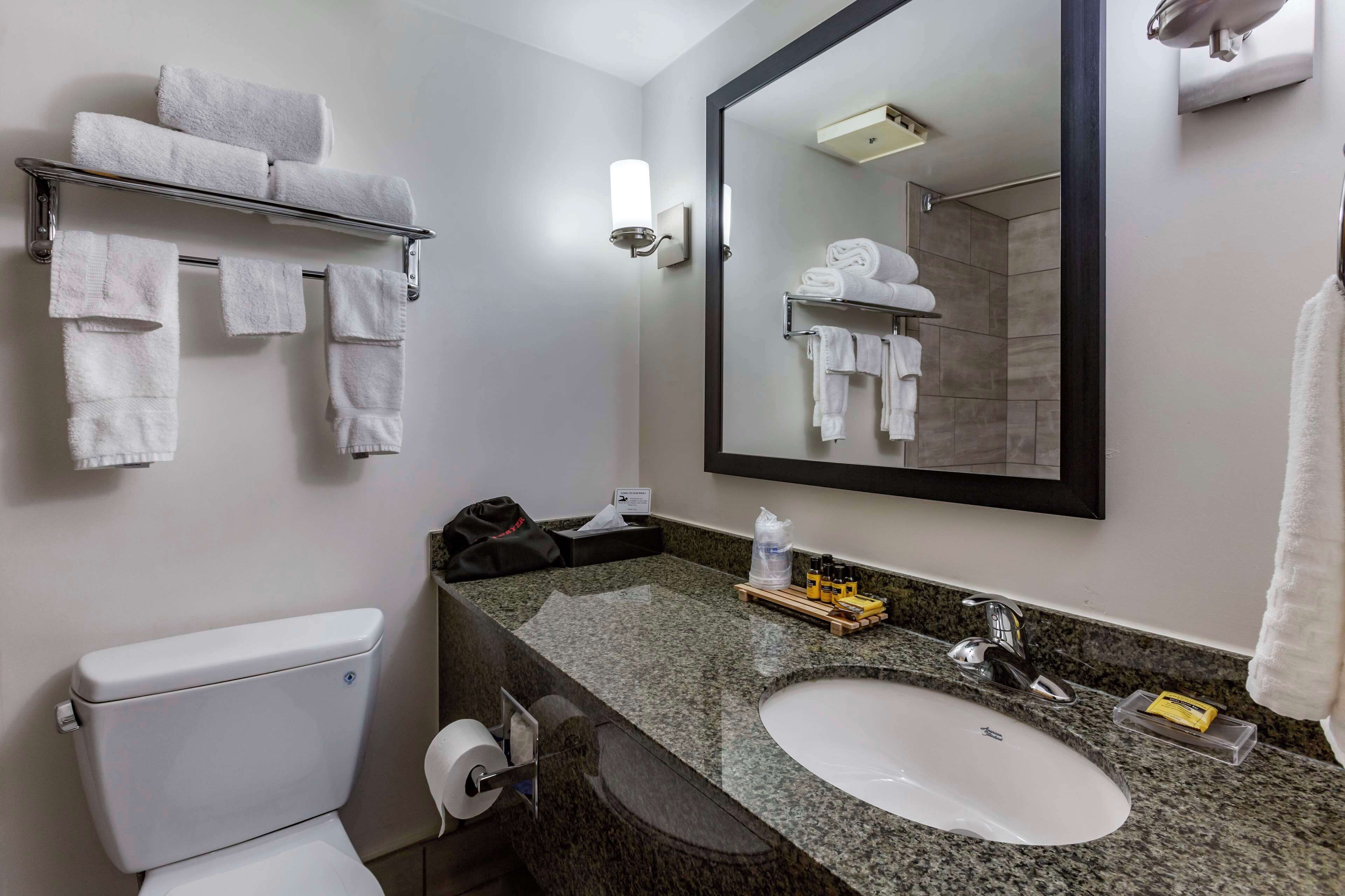 combined shower/bathtub, free toiletries, hair dryer, towels