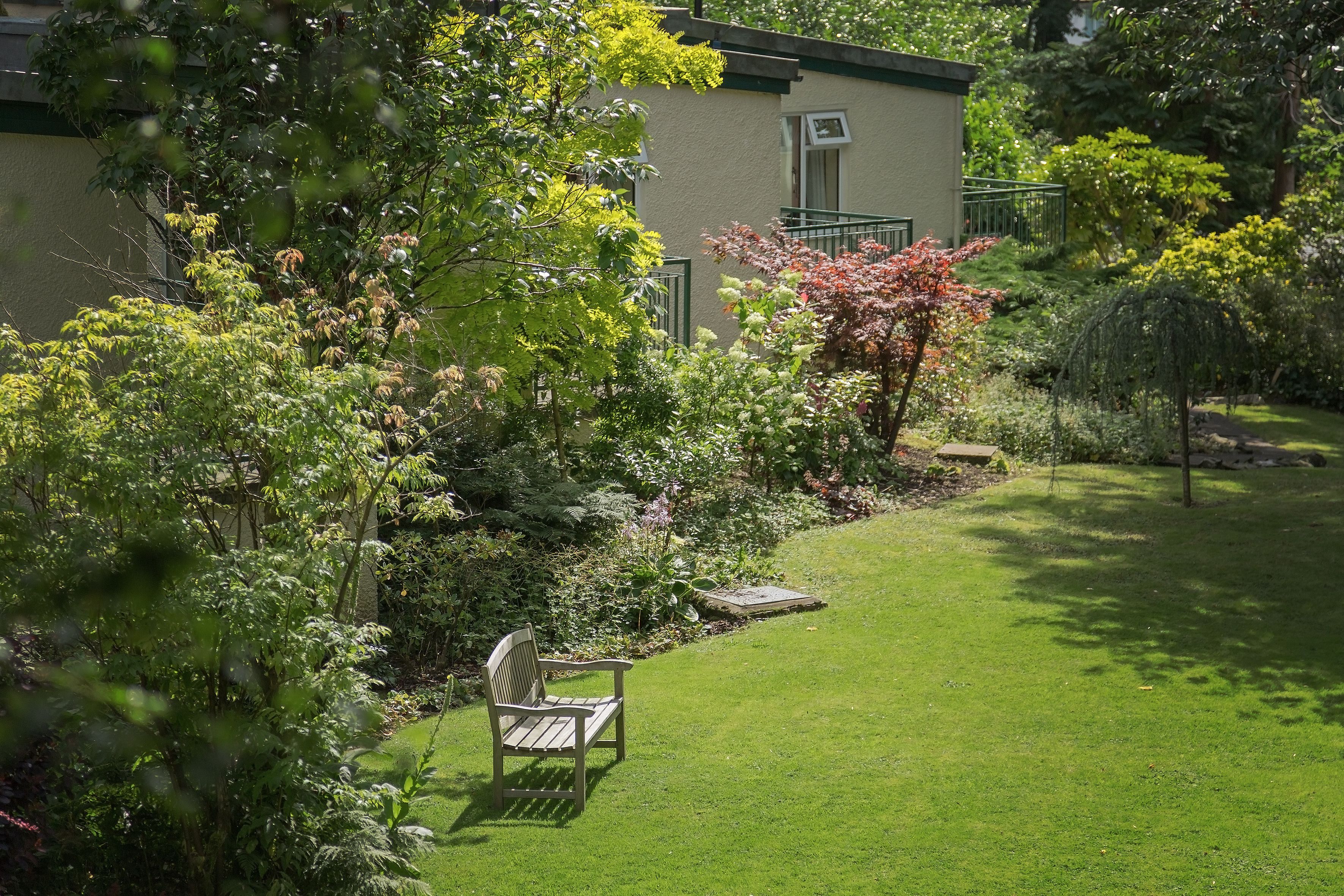 Un jardín bien cuidado con un banco, un estanque pequeño y un edificio con techo verde.