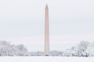 A tall, narrow obelisk structure in a park with snow-covered trees and a cityscape in the background.