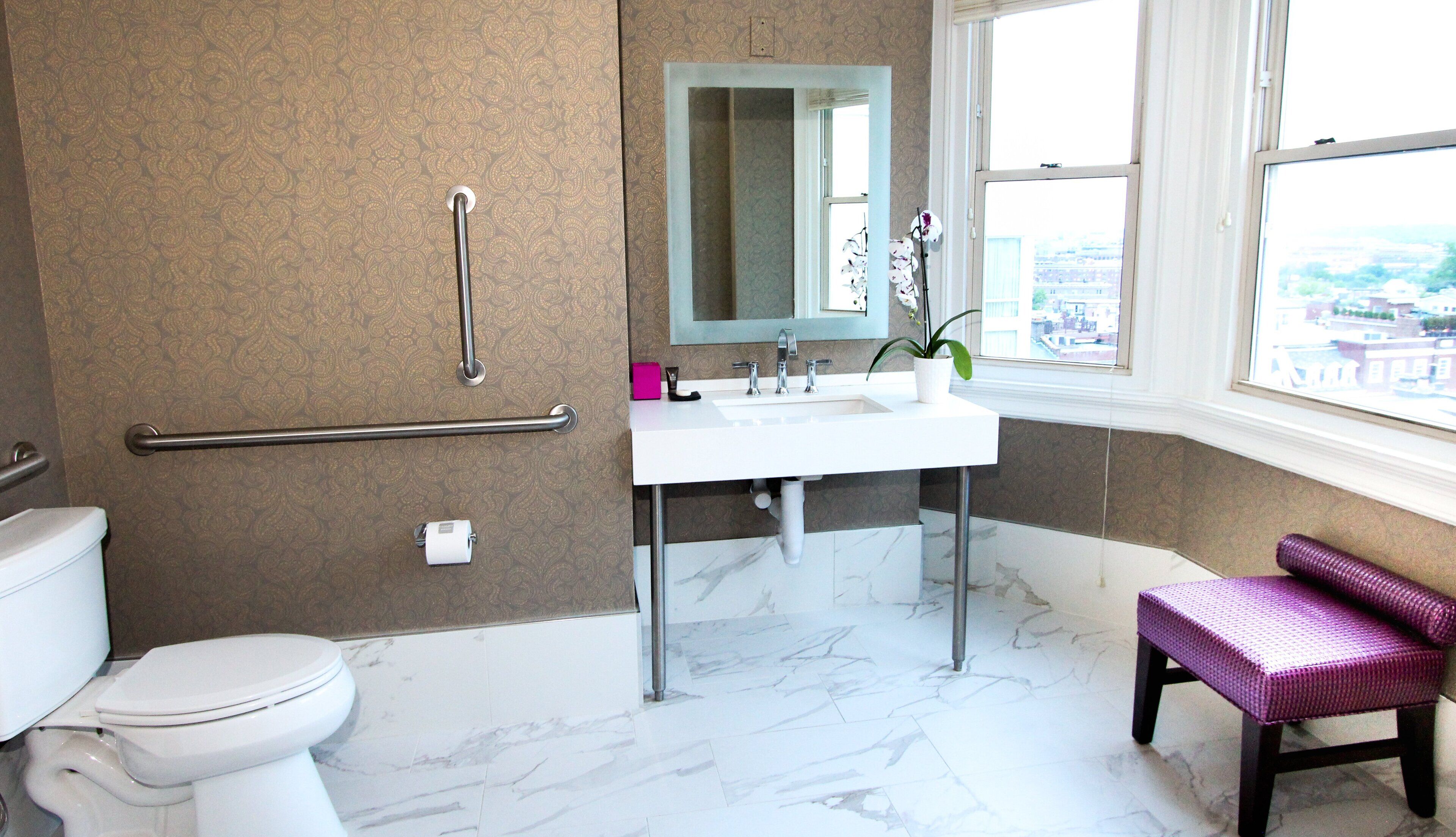 A bathroom with a white toilet, a sink with a mirror above it, a handrail, and a window with a view of buildings.