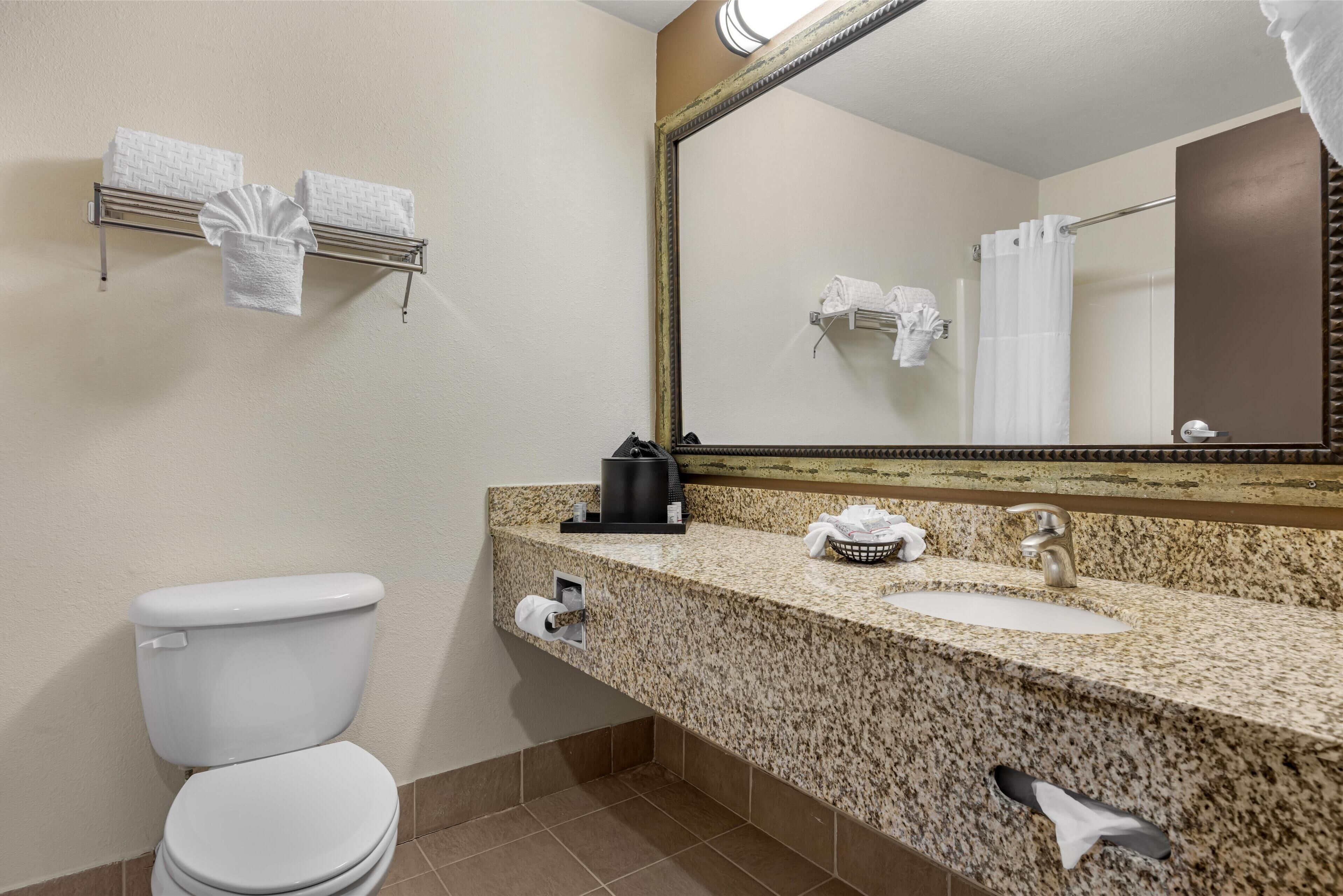 A bathroom with a toilet, sink, and mirror. There are towels hanging on a rack and a shower curtain.