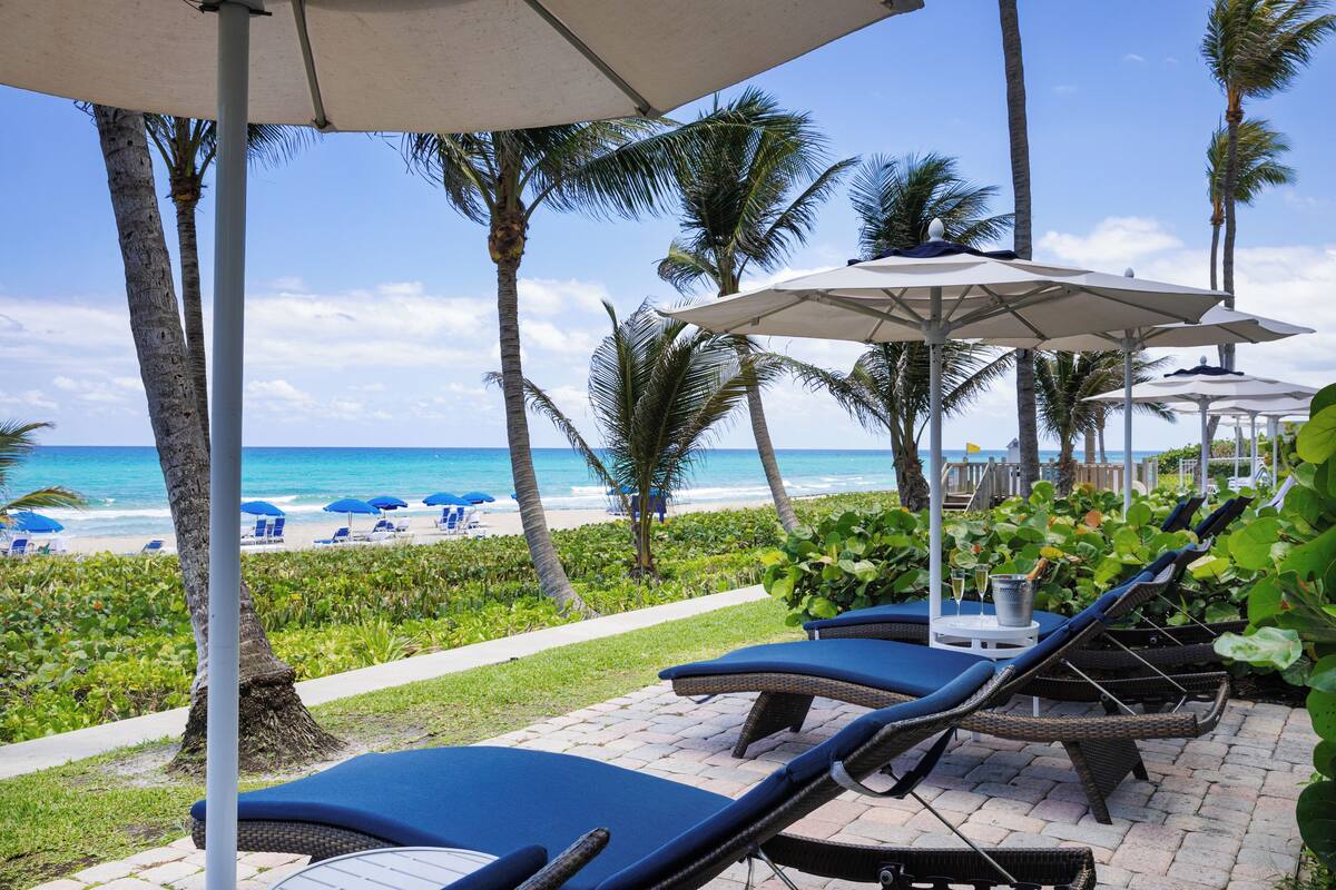 A beachside lounge area with lounge chairs and umbrellas, palm trees, and a view of the ocean.