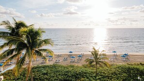 A beach with rows of sun loungers and umbrellas, palm trees, and a view of the ocean. - Delray Sands Resort (Highland Beach)