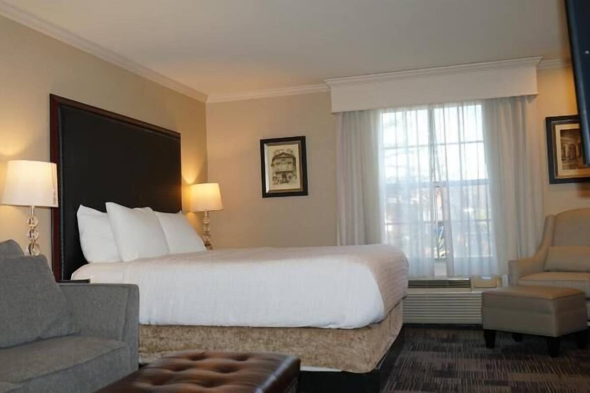A hotel room with a bed, a sofa, a chair, a desk, and a window with curtains.