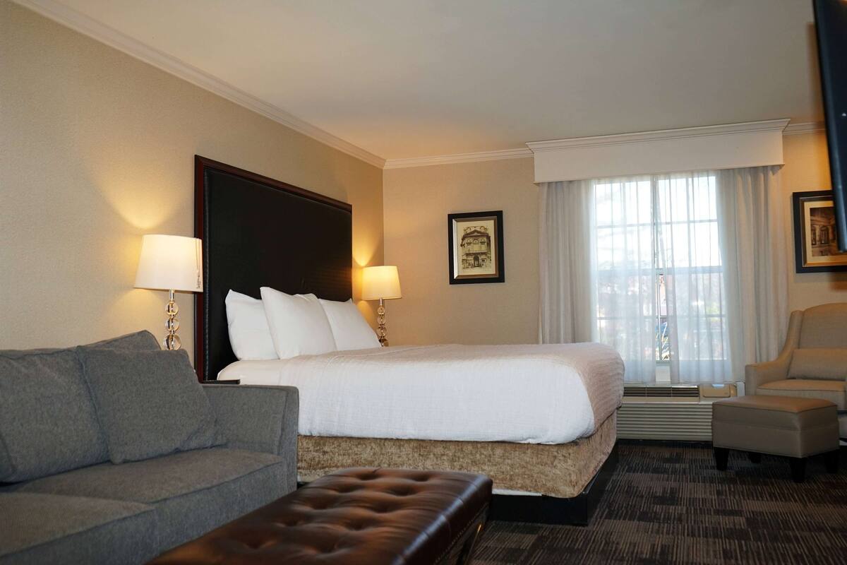 A hotel room with a large bed, a sofa, a chair, and a small table.