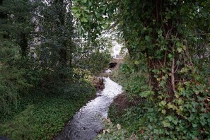 Jardín