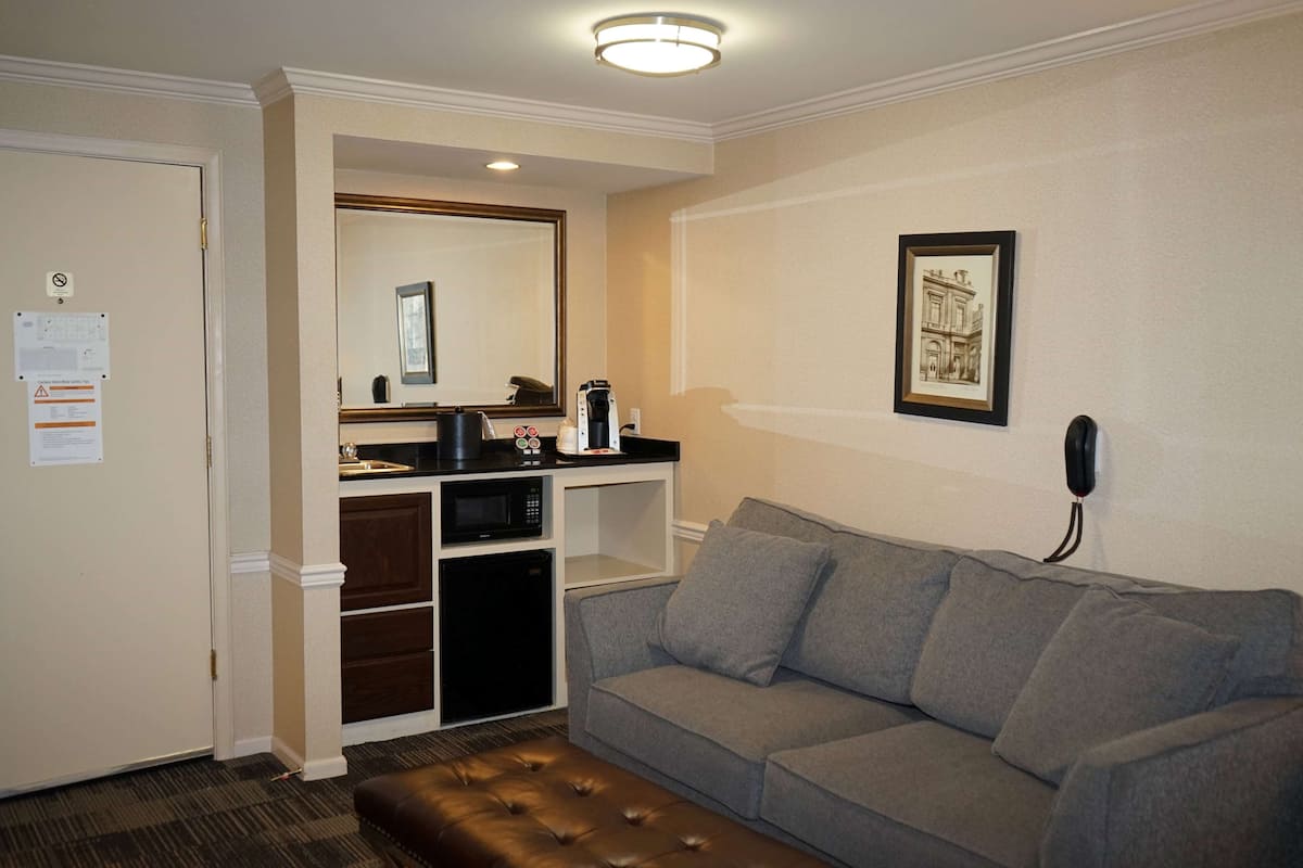 studio, 1 king bed with sofa bed, non smoking | premium bedding, pillow-top beds, desk, laptop workspace