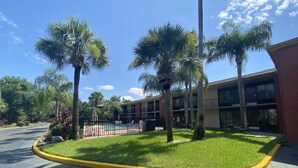 Un hôtel doté d’une piscine, entouré de palmiers et d’une pelouse bien entretenue.