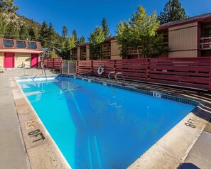 Seasonal outdoor pool, pool umbrellas, sun loungers