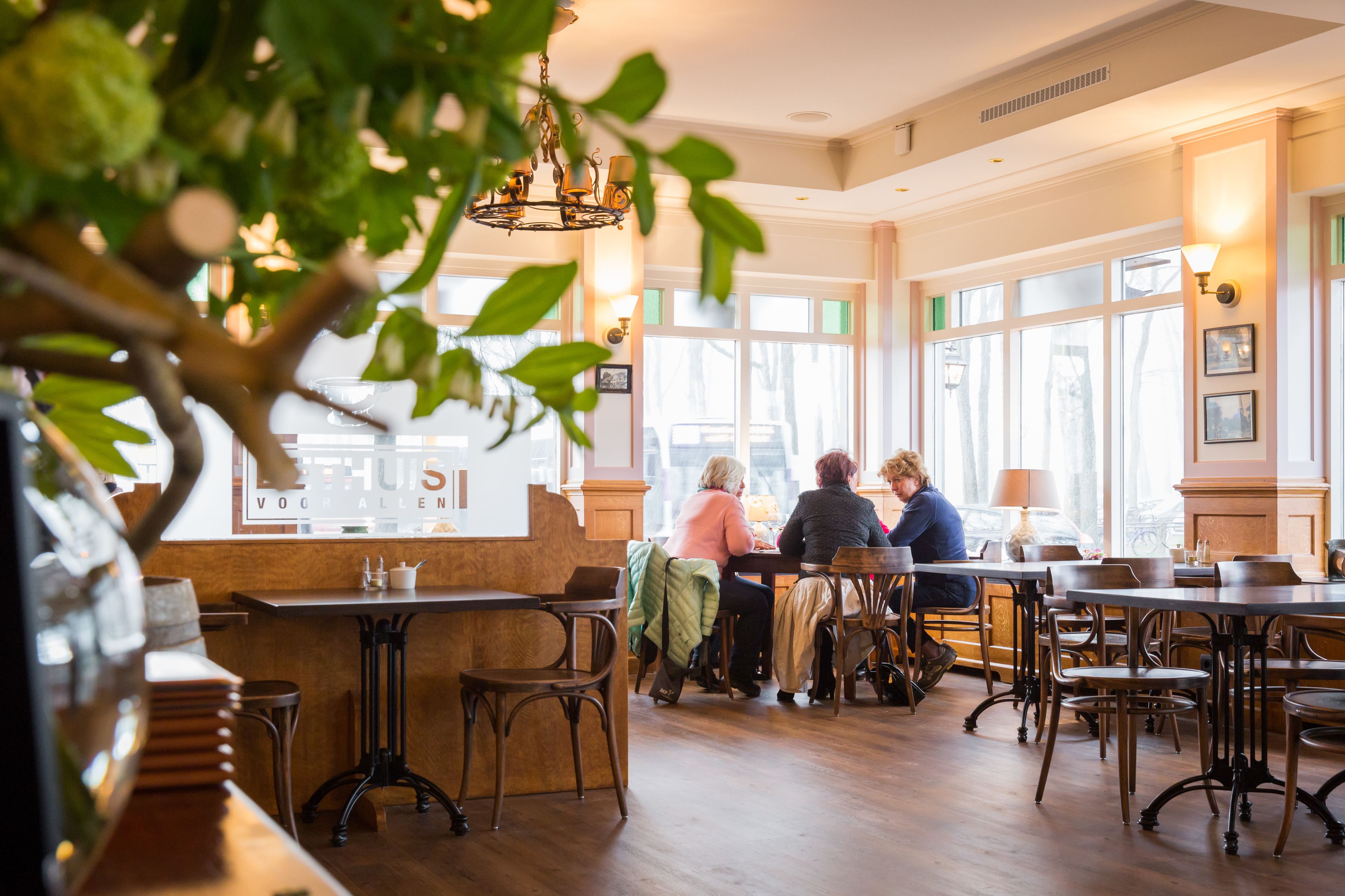 Een gezellig café met houten tafels en stoelen, grote ramen en een hangplant.